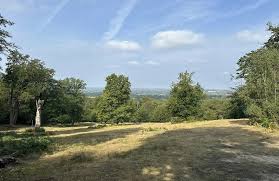 Image result for Epping Forest Mountain Bike Club