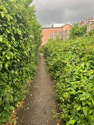 Image result for Woodmancote SMBC