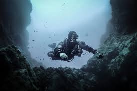 Image result for Canary Divers