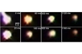 Image result for ball lightning