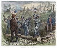 Image result for Freck Chain Gang