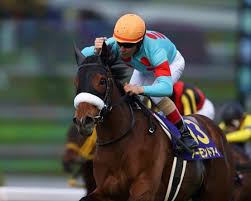 Image result for Almond Riding Club