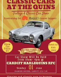Image result for Cardiff Harlequins