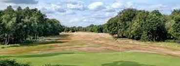 Image result for Brokenhurst Manor Golf Club