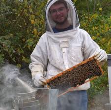 Image result for Boccia In Epsom & Ewell (Bees)