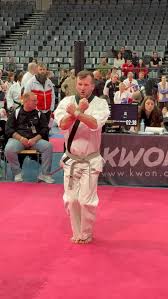 Image result for English International Allstyles Taekwon-Do