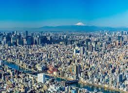 Image result for Holmans Smbc