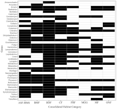 Attēlu rezultāti vaicājumam “Amaurochaete sp.”