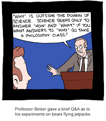 Image result for Goldsithney Smbc