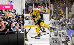 Image result for Kingston Upon Hull Hockey Club