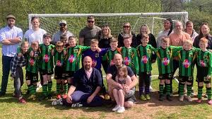 Image result for Bromyard Town Football Club Limited