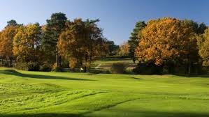 Image result for Guildford Gold Club