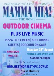 Image result for Horsley & Send Cricket Club