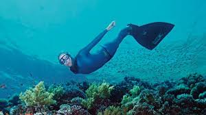 Image result for Deep and Wide Diving
