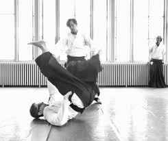 Image result for Kokyu Aikido Association