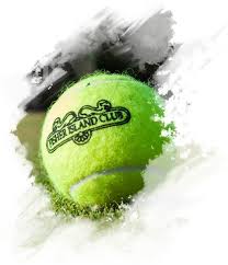 Image result for Wimbledon Racquets & Fitness Junior Club Badminton Club