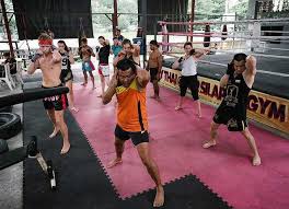 Image result for S J T B Thai Boxing Gym