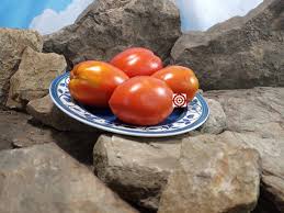 Afbeeldingsresultaat voor erdie family oxheart tomato