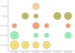 Attēlu rezultāti vaicājumam “Oligonema favogineum”