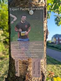 Image result for Ampthill and Flitwick Flyers