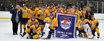 Image result for Northwich Predators