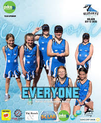 Image result for Blue Jays Netball Club