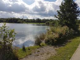 Image result for Rother Valley