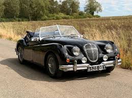 Image result for Cirrus Gray 1983 Jaguar