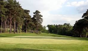 Image result for Foxhills Club & Resort