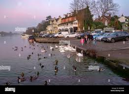 Image result for Walton On Thames Angling