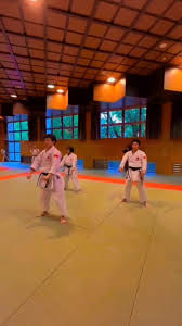 Image result for Caversham Karate Club SSKA