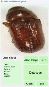 Attēlu rezultāti vaicājumam “Tomicus minor”