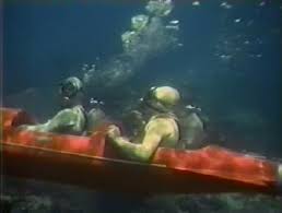 Image result for innerspace divers