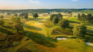 Image result for Walton Heath Golf Club
