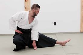 Image result for Kyu Shin Kan, Leicester Aikido