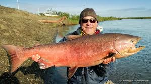 Image result for Oncorhynchus
