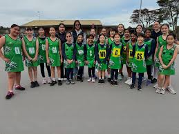 Image result for pulborough netball club