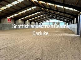 Image result for Scottish Equi Complex