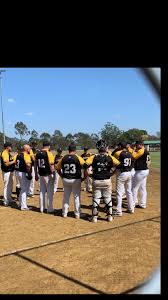 Image result for Lions Softball Club