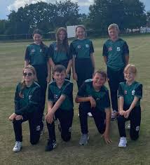 Image result for Burnhope Cricket Club