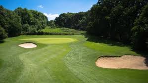 Image result for Wincanton Cricket Club