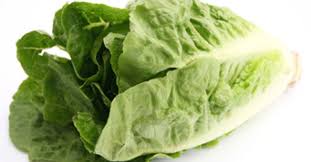 Image result for Römischer Salat