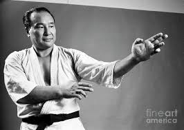 Image result for Kyokushin Karate