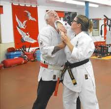 Image result for Thames Valley Karate
