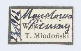 Attēlu rezultāti vaicājumam “Lygephila viciae”