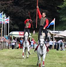 Image result for Shropshire Warriors