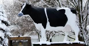 Image result for Keyingham WI*