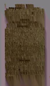 Attēlu rezultāti vaicājumam “Pistillaria sp.”