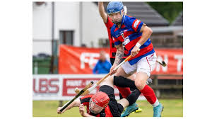 Image result for World of Shinty