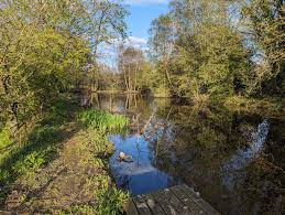 Image result for Bollington & Royal Oak Angling Society